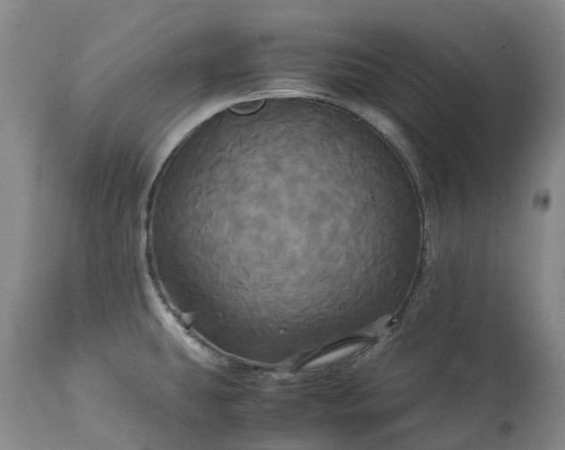 X0000113251431200909241600