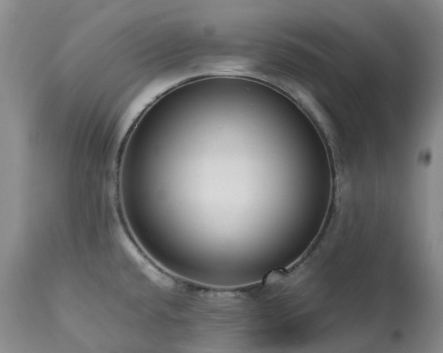 X0000113251432200909241600