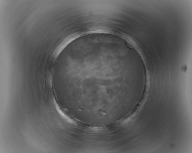 X0000113251433200909241600