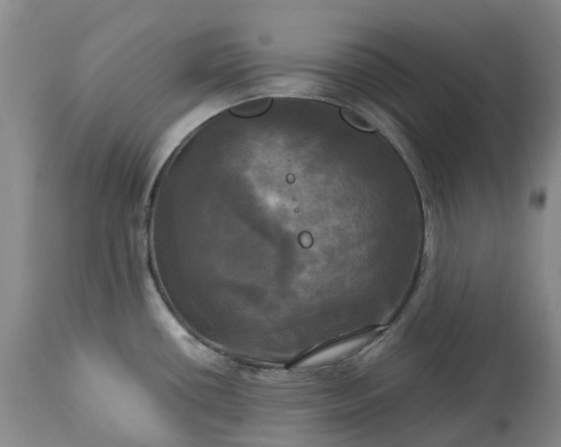 X0000113251434200909241600