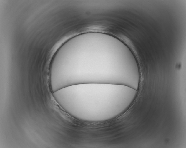 X0000113251435200909241600