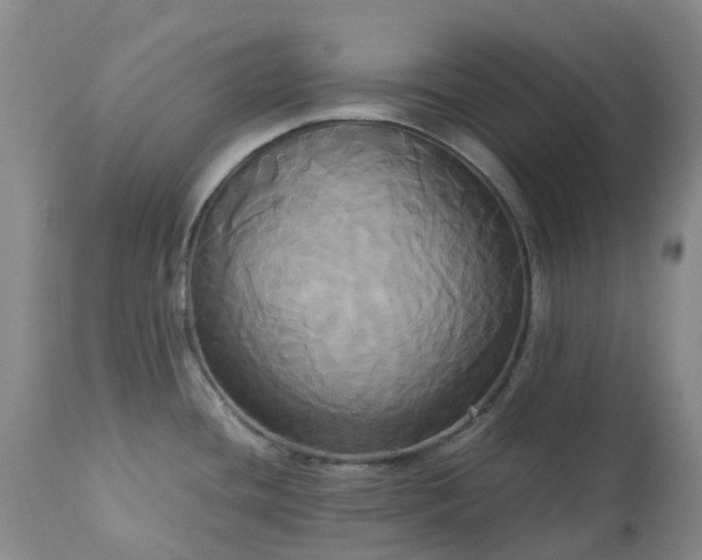 X0000113251436200909241600