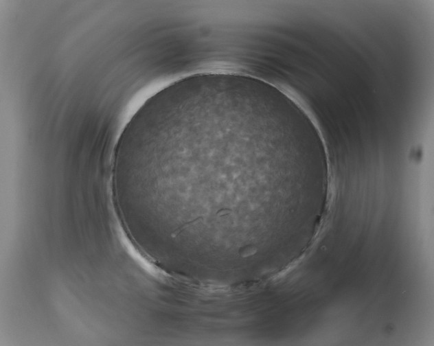 X0000113251437200909241600