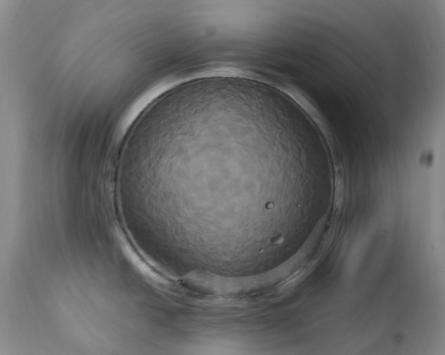 X0000113251438200909241600