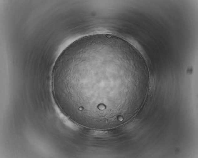 X0000113251439200909241600