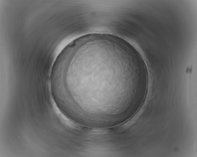 X0000113251440200909241600