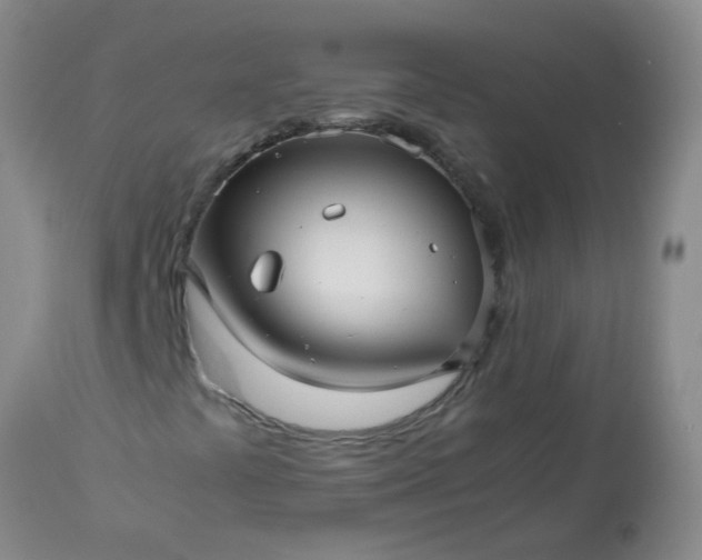 X0000113251441200909241559