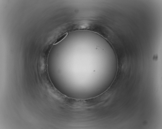 X0000113251442200909241559