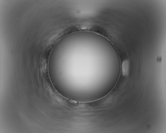 X0000113251443200909241559