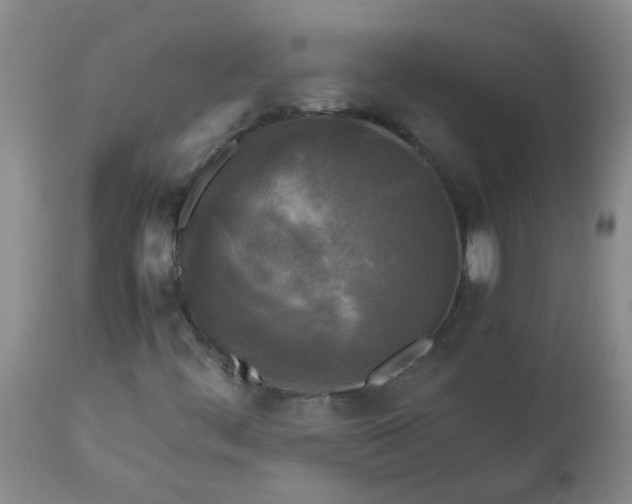 X0000113251444200909241559