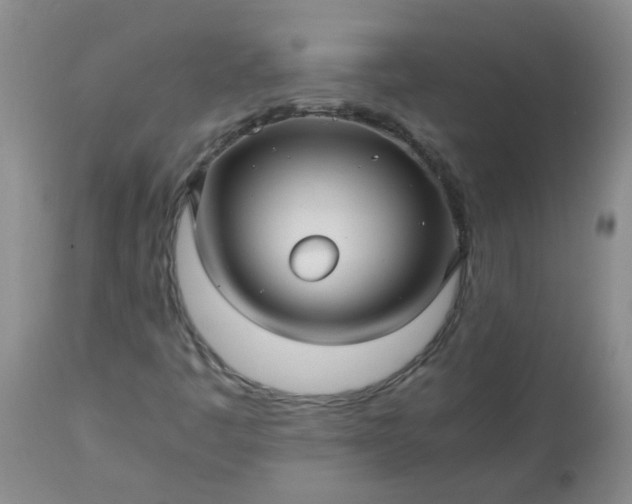 X0000113251445200909241559