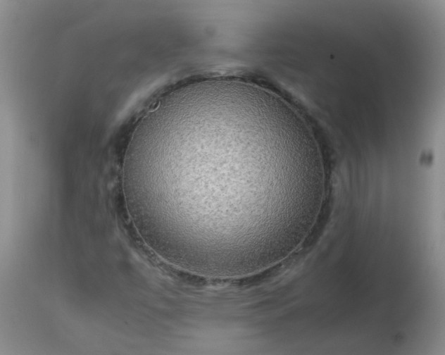 X0000113251447200909241559