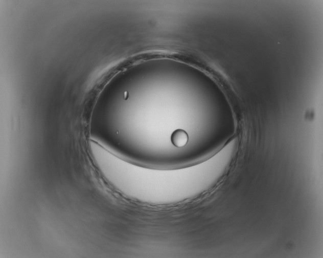 X0000113251448200909241559