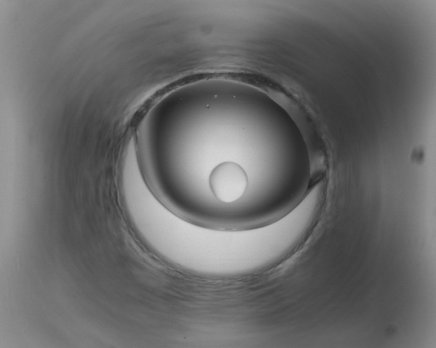 X0000113251449200909241559