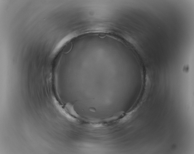 X0000113251450200909241559