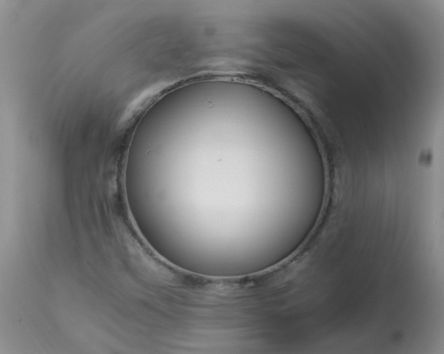 X0000113251451200909241559