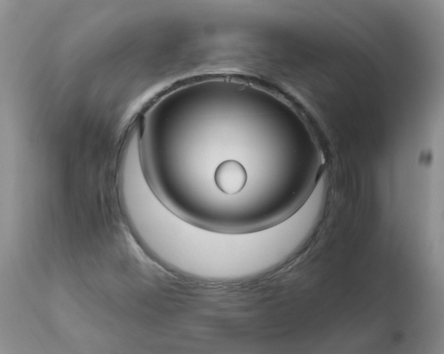 X0000113251452200909241559