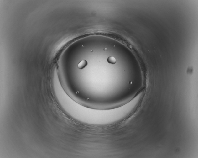 X0000113251453200909241559