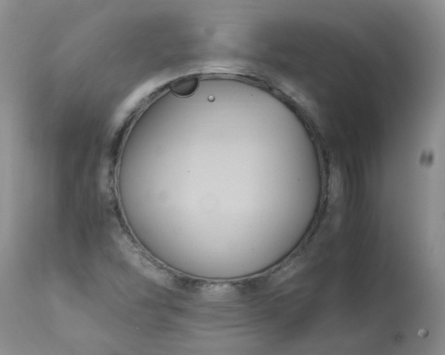 X0000113251454200909241559