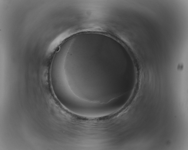 X0000113251455200909241559