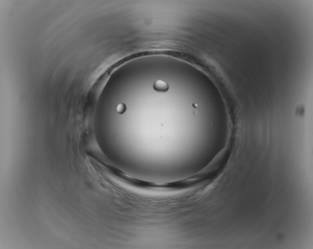 X0000113251457200909241559