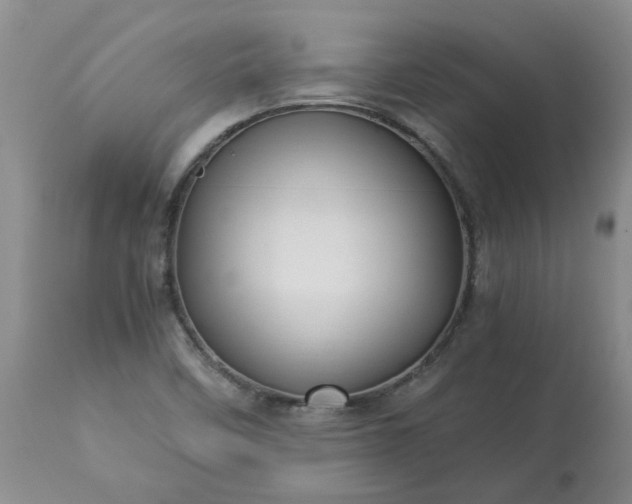 X0000113251458200909241559