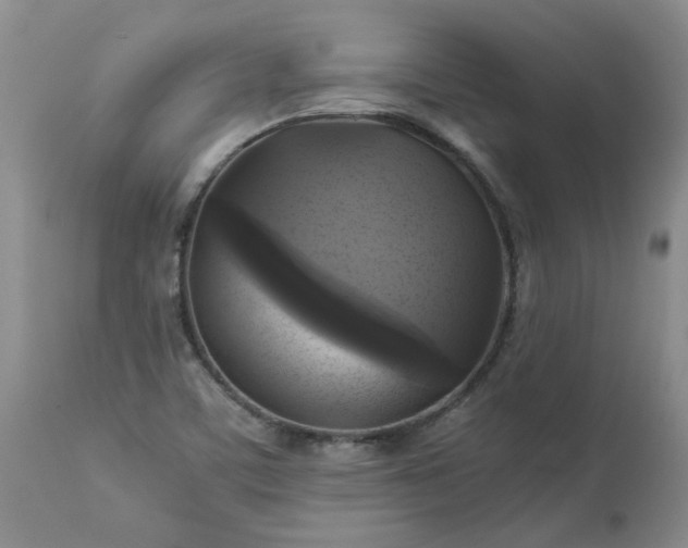 X0000113251459200909241559