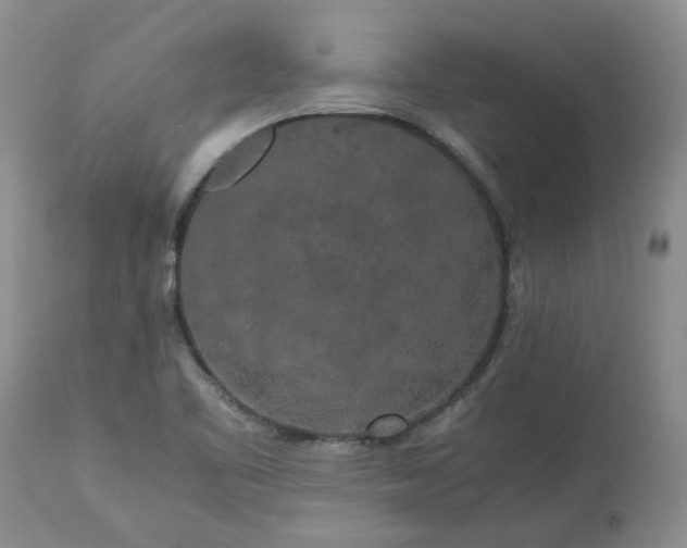 X0000113251461200909241559