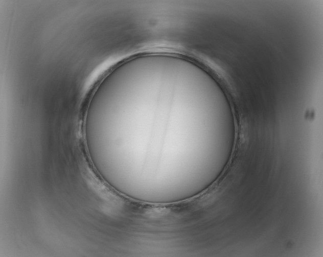 X0000113251462200909241559