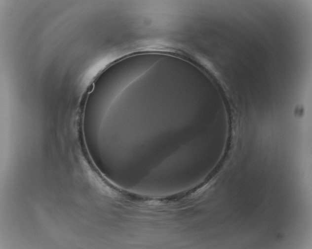 X0000113251463200909241559