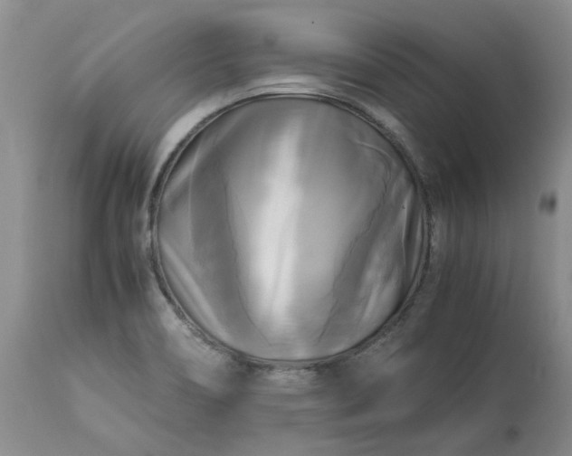 X0000113251466200909241559