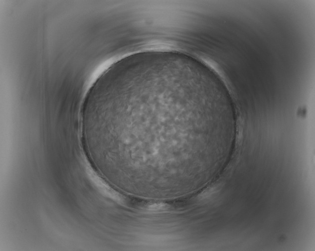 X0000113251467200909241559