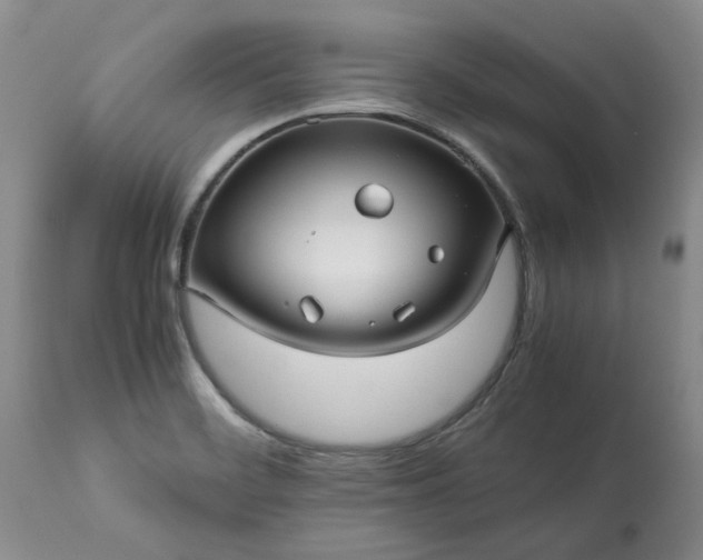 X0000113251468200909241559