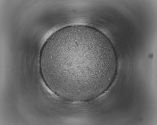 X0000113251469200909241559