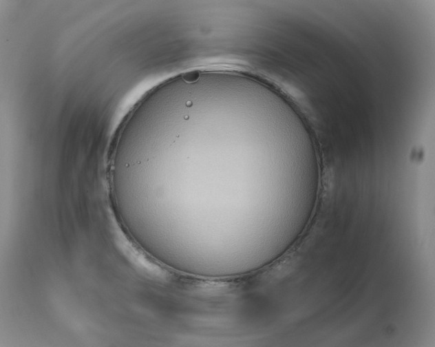 X0000113251470200909241559