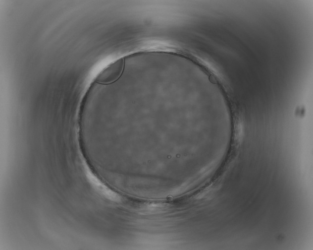 X0000113251471200909241559