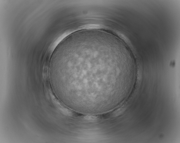 X0000113251473200909241559