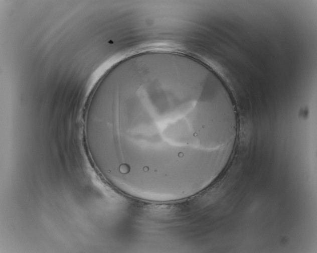 X0000113251474200909241558