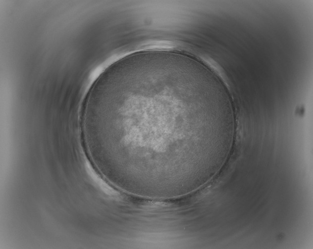 X0000113251475200909241558