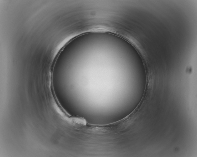 X0000113251476200909241558