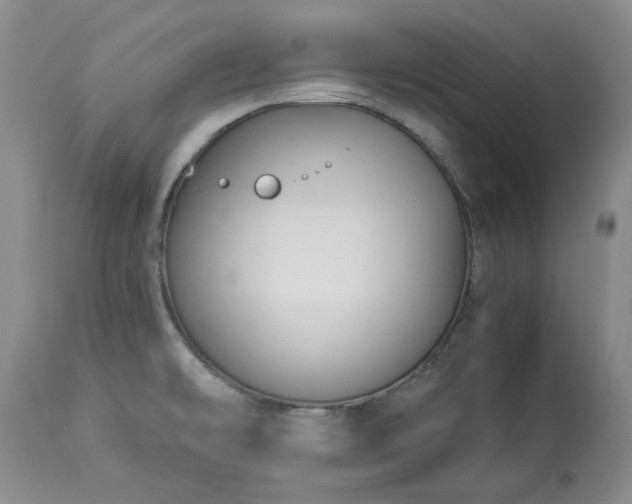 X0000113251478200909241558