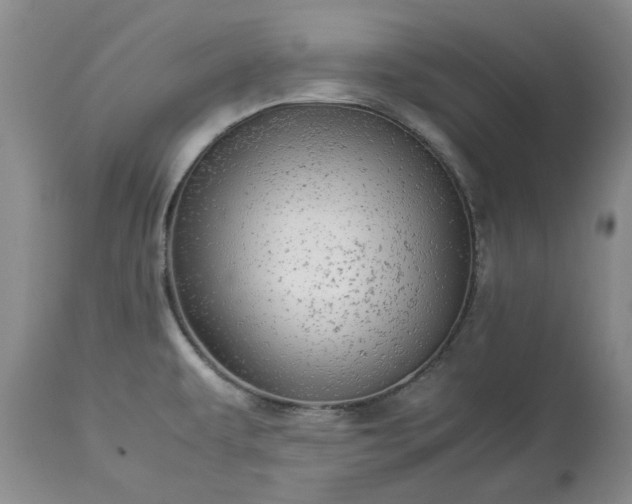 X0000113251479200909241558