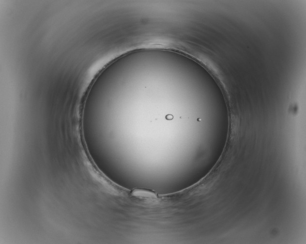 X0000113251480200909241558