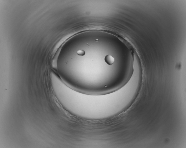 X0000113251481200909241558