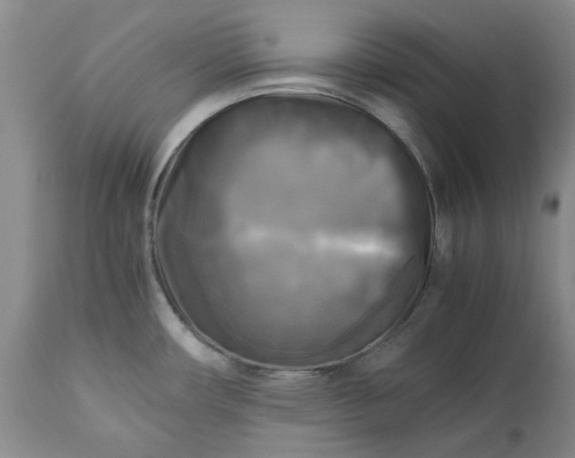 X0000113251482200909241558