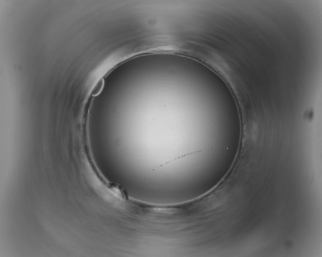 X0000113251483200909241558