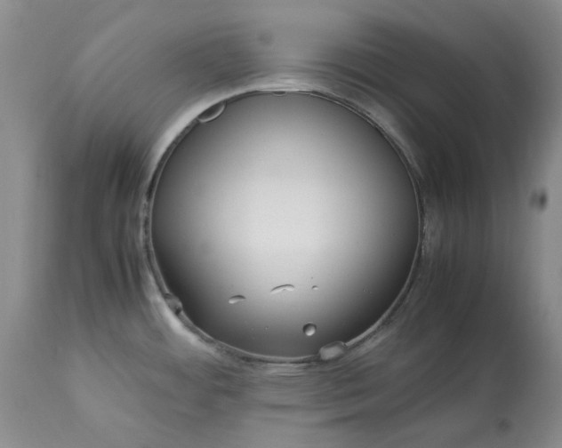 X0000113251484200909241558