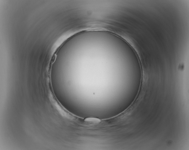 X0000113251485200909241558