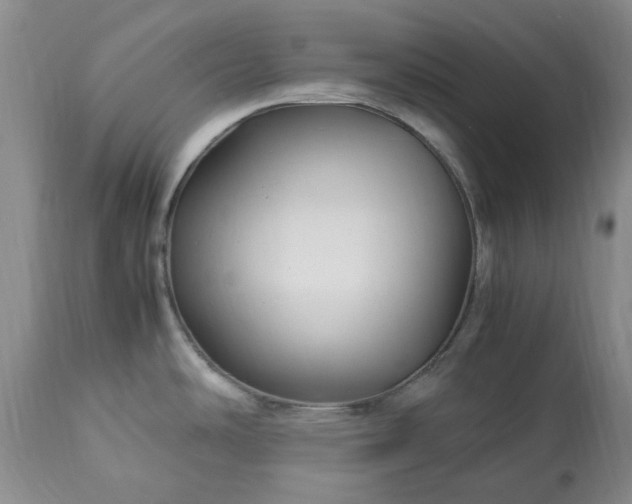 X0000113251486200909241558