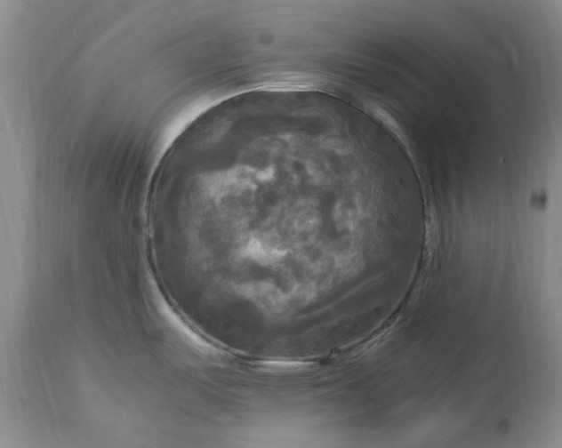 X0000113251487200909241558